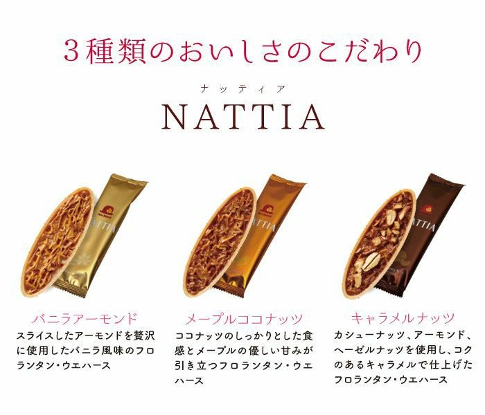 クッキア&ナッティア 7種35枚入