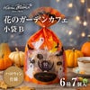 ［期間限定：ハロウィンVer.］花のガーデンカフェ 小袋B 6種7枚入